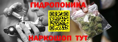 ПСИЛОЦИБИНОВЫЕ ГРИБЫ Лесосибирск