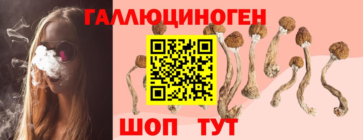 Галлюциногенные грибы ЛСД Бузулук